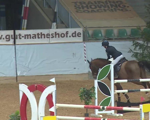 Reitturnier Kreuth/Opf. 2025