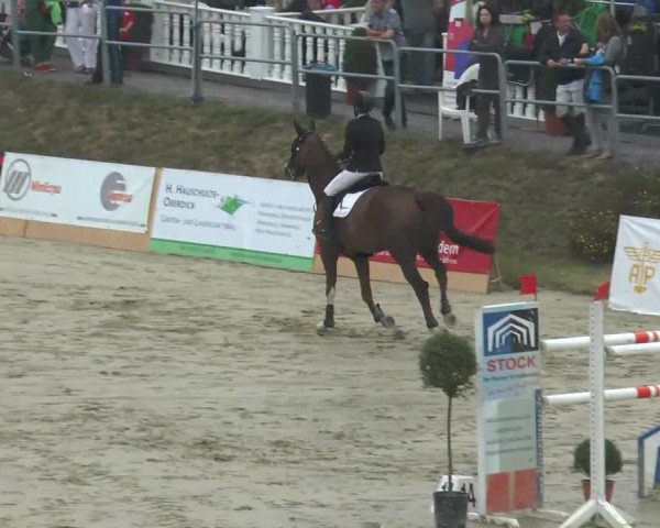 Voßwinkeler Reitertage 2013