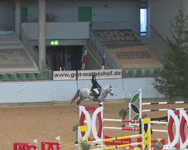 Reitturnier Kreuth/Opf. 2025