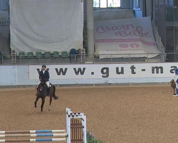 Reitturnier Kreuth/Opf. 2025