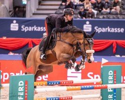 jumper Chagracon PS (Hanoverian, 2011, from Chacco-Blue)