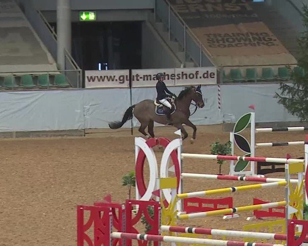 Reitturnier Kreuth/Opf. 2025