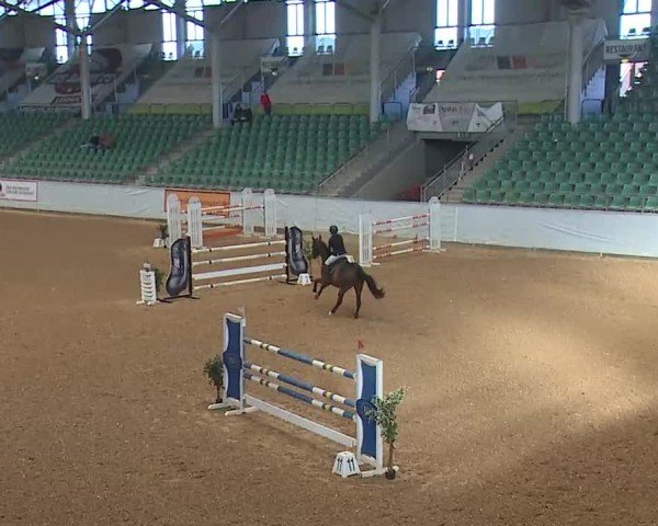 Reitturnier Kreuth/Opf. 2025