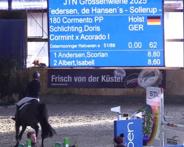 Reitturnier Großenwiehe - JTN 2025