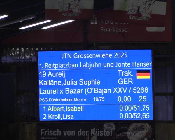 Reitturnier Großenwiehe - JTN 2025