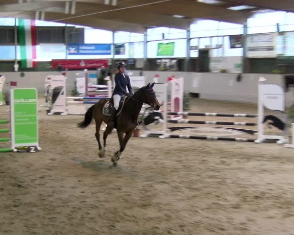 Reitturnier Velen 2025