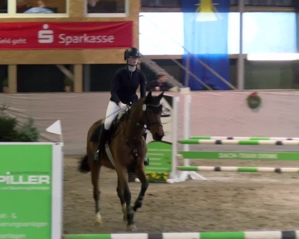 Reitturnier Velen 2025