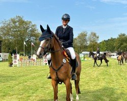 Springpferd New Hope E (Holsteiner, 2020, von Clarimo Ask)