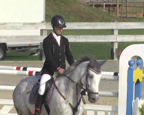 Springturnier Hubertushof RSG Linkenheim-Hochstetten 2013