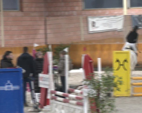 Reitturnier Mönchengladbach - Schloss Wickrath 2025