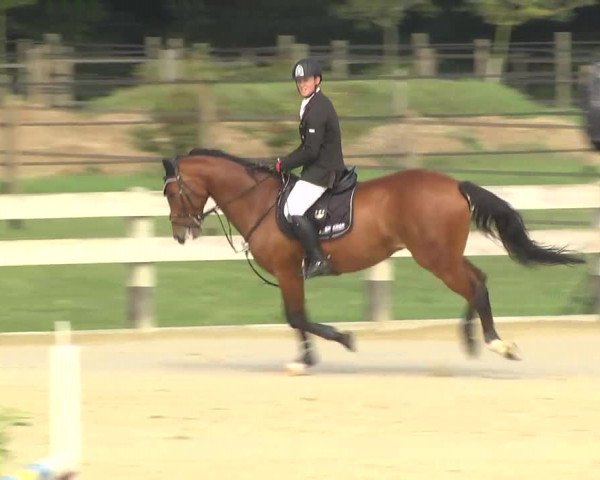 Springturnier Hubertushof RSG Linkenheim-Hochstetten 2013