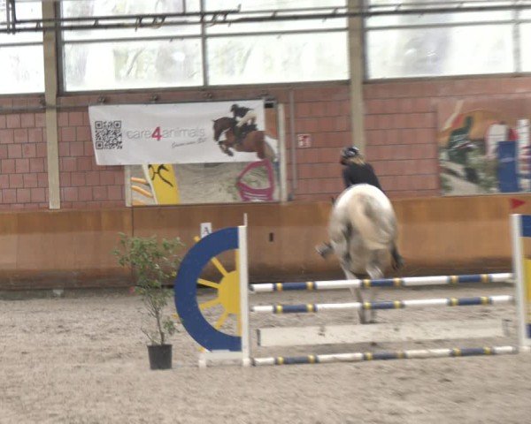 Reitturnier Mönchengladbach - Schloss Wickrath 2025