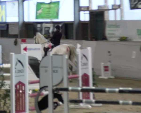 Reitturnier Velen 2025