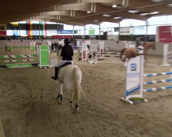 Reitturnier Velen 2025
