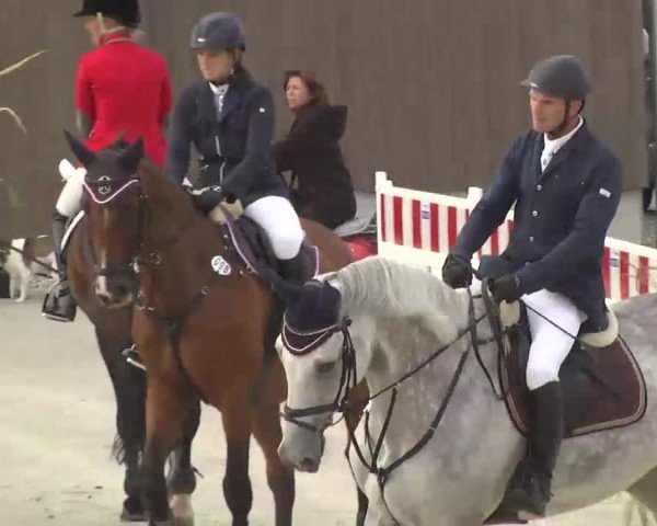 Springturnier Hubertushof RSG Linkenheim-Hochstetten 2013