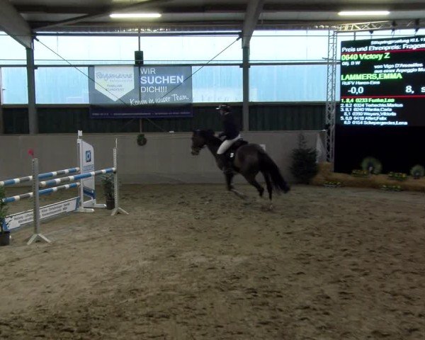 Reitturnier Velen 2025