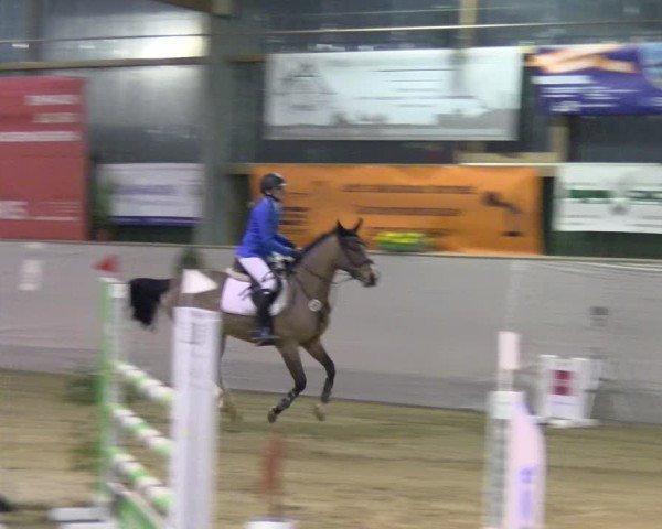 Reitturnier Velen 2025