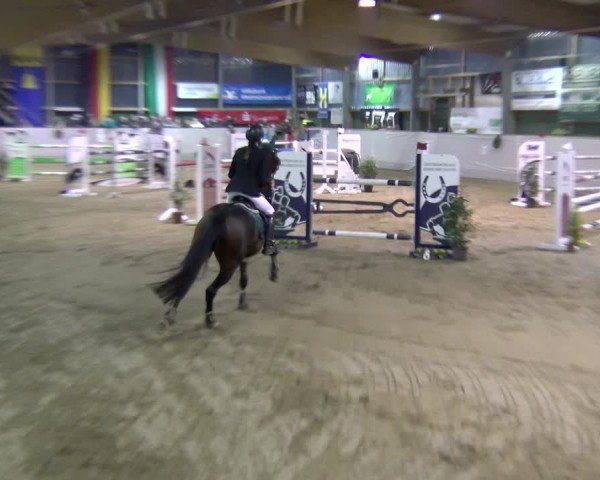 Reitturnier Velen 2025