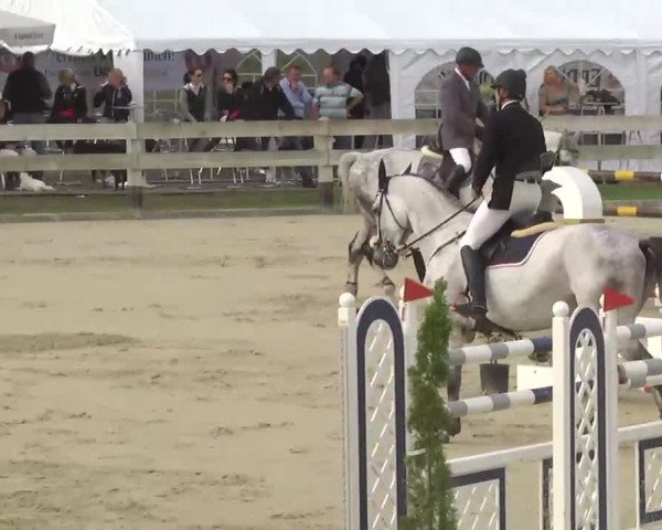 Reitturnier Linkenheim-Hochstetten 2013