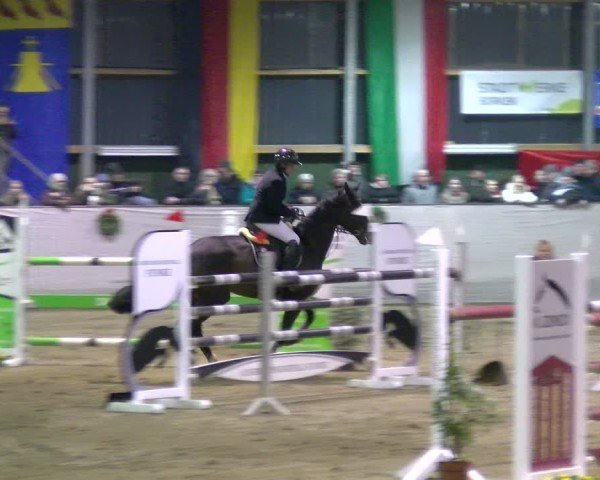 Reitturnier Velen 2025