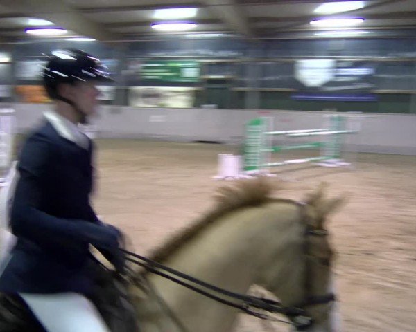 Reitturnier Velen 2025