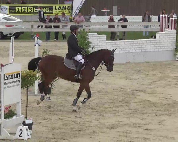 Reitturnier Linkenheim-Hochstetten 2013