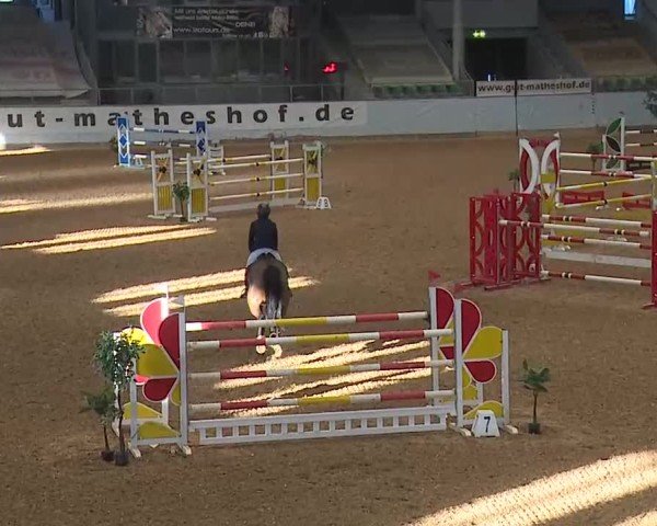 Reitturnier Kreuth/Opf. 2025