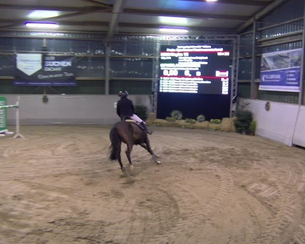 Reitturnier Velen 2025