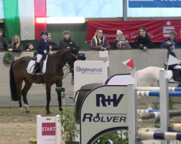 Reitturnier Velen 2025
