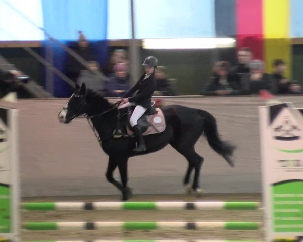 Reitturnier Velen 2025