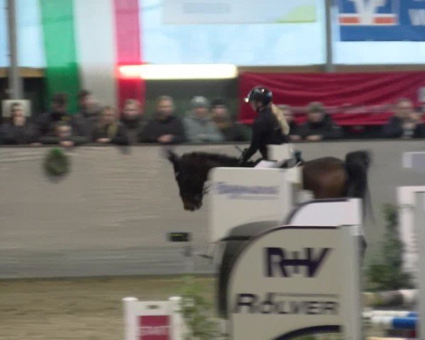 Reitturnier Velen 2025