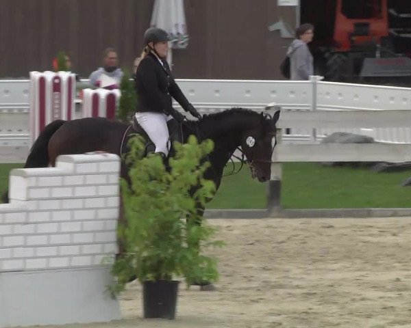 Springturnier Hubertushof RSG Linkenheim-Hochstetten 2013