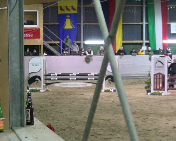Reitturnier Velen 2025