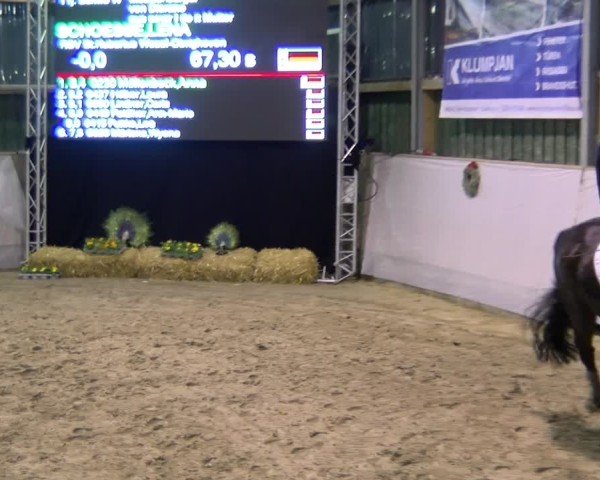 Reitturnier Velen 2025