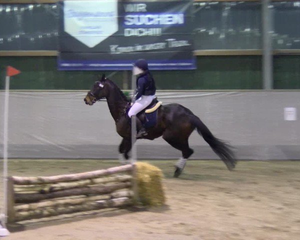 Reitturnier Velen 2025