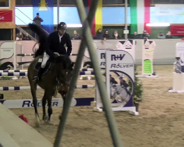 Reitturnier Velen 2025