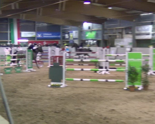 Reitturnier Velen 2025
