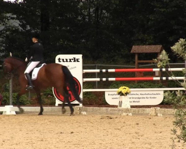 Meinerzhagen 2013