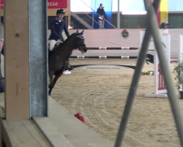 Reitturnier Velen 2025