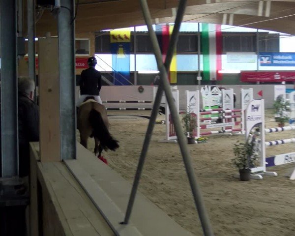 Reitturnier Velen 2025