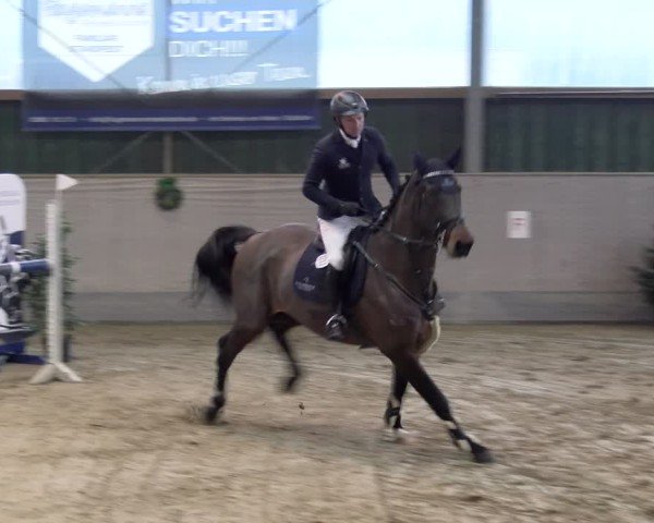 Reitturnier Velen 2025