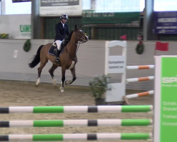 Reitturnier Velen 2025