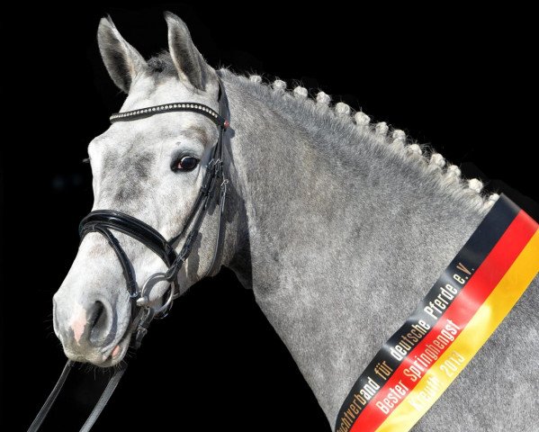Deckhengst Coupex (Bayer, 2011, von Coupe de Coeur 2)