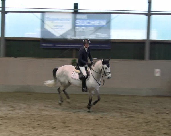 Reitturnier Velen 2025