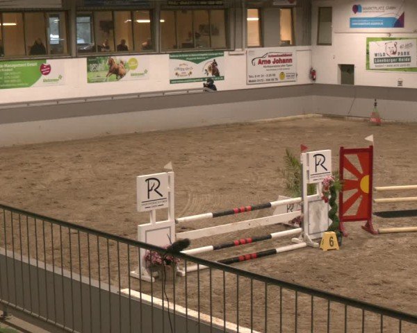Reitturnier AZL Luhmühlen 2025