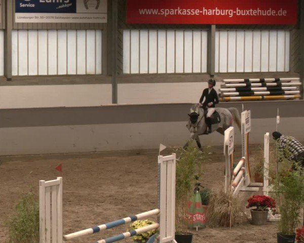 Reitturnier AZL Luhmühlen 2025