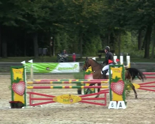 Mönchengladbach-Wickrather Reitertage 2013