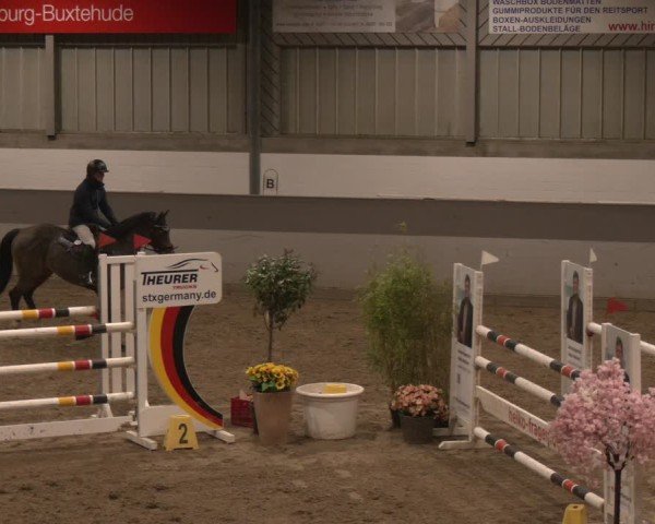 Reitturnier AZL Luhmühlen 2025