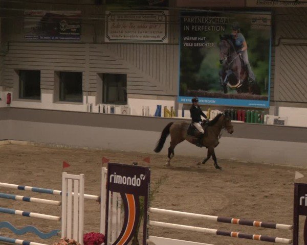 Reitturnier AZL Luhmühlen 2025