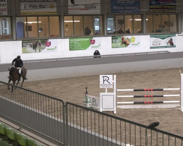Reitturnier AZL Luhmühlen 2025